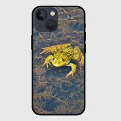 Чехол для iPhone 13 mini Лягушка