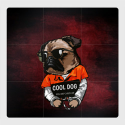Магнитный плакат 3Х3 Cool dog