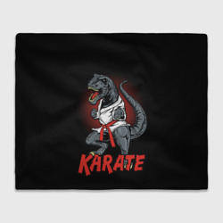 Плед 3D KARATE T-REX