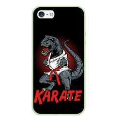 Чехол для iPhone 5/5S матовый KARATE T-REX