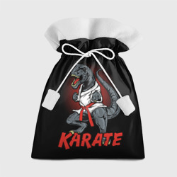 Подарочный 3D мешок KARATE T-REX