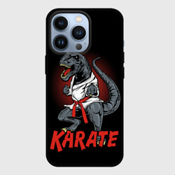 Чехол для iPhone 13 Pro KARATE T-REX