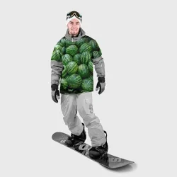 Накидка на куртку 3D Арбузы