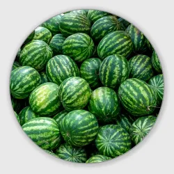 Круглый коврик для мышки Арбузы