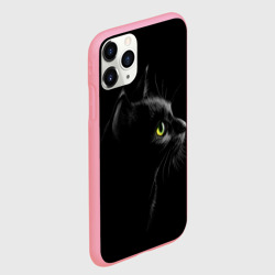 Чехол для iPhone 11 Pro Max матовый Черный кот - фото 2