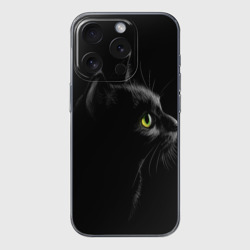 Чехол для iPhone 15 Pro силиконовый с защитой камеры Черный кот