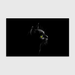 Бумага для упаковки 3D Черный кот