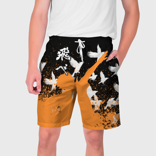 Мужские шорты 3D Волейбол - Вороны, цвет 3D печать