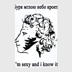 Магнитный плакат 2Х3 Пушкин sexy