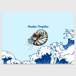 Поздравительная открытка Nautilus Pompilius океан