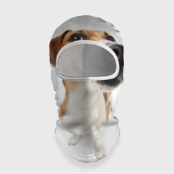 Балаклава 3D Собака