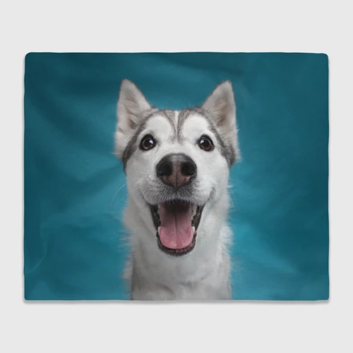 Плед 3D с принтом Собака лайка, вид спереди #2