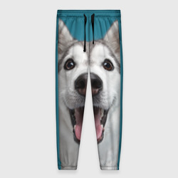 Женские брюки 3D Собака лайка