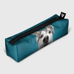 Пенал школьный 3D Собака лайка