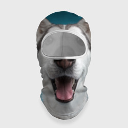 Балаклава 3D Собака лайка