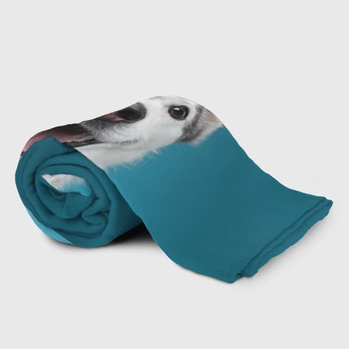 Плед 3D с принтом Собака лайка, фото на моделе #1