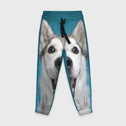 Детские брюки 3D Собака лайка