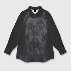 Мужская рубашка oversize 3D Кане-корсо собака