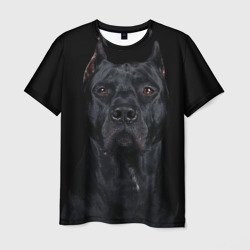 Мужская футболка 3D Кане-корсо собака