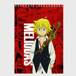 Скетчбук Мелиодас, Meliodas