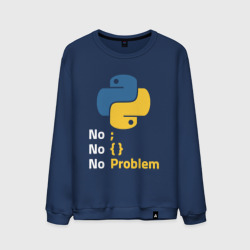 Мужской свитшот хлопок Пайтон Python no problem