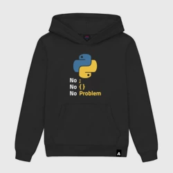 Мужская толстовка хлопок Пайтон Python no problem