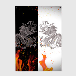 Постер Драконы Черный и Белый | Огонь