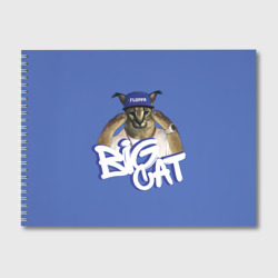 Альбом для рисования Big Cat Floppa