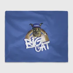 Плед 3D Big Cat Floppa