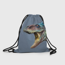 Рюкзак-мешок 3D Хищный динозавр Dino