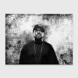 Обложка для студенческого билета Ice Cube Айс Куб