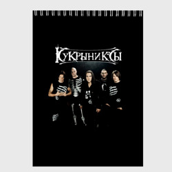 Скетчбук Рок группа Кукрыниксы