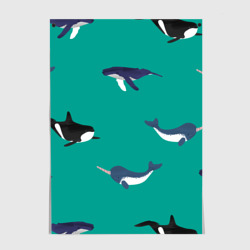 Постер Нарвал, киты, касатка паттерн
