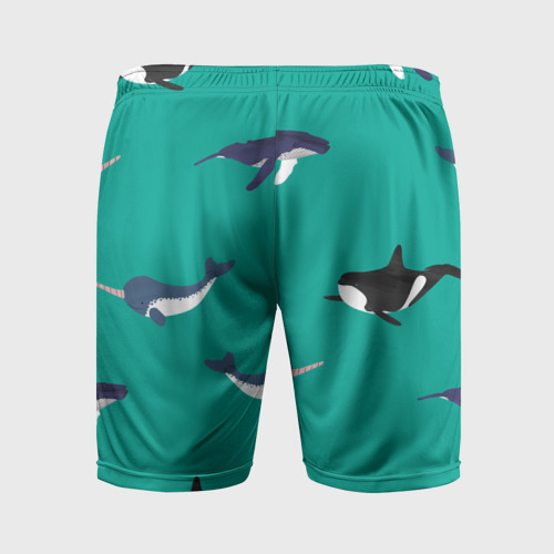 Мужские шорты спортивные Нарвал, киты, касатка паттерн, цвет 3D печать - фото 2