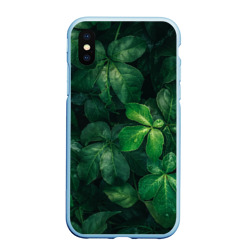 Чехол для iPhone XS Max матовый Тропическая листва Тропики