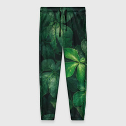 Женские брюки 3D Тропическая листва Тропики