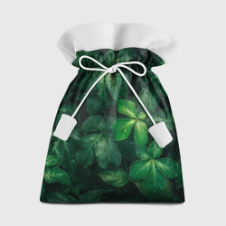 Подарочный 3D мешок Тропическая листва Тропики