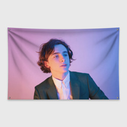 Флаг-баннер Timothee Chalamet розовый градиент