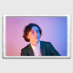 Магнит 45*70 Timothee Chalamet розовый градиент