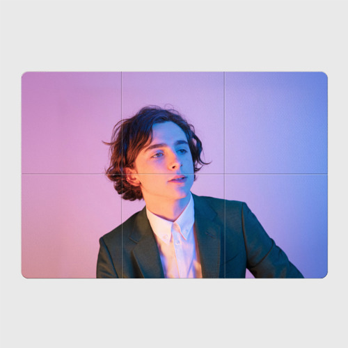 Магнитный плакат 3Х2 Timothee Chalamet розовый градиент