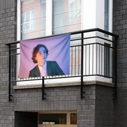 Флаг-баннер Timothee Chalamet розовый градиент - фото 2