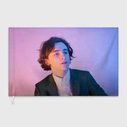 Флаг 3D Timothee Chalamet розовый градиент