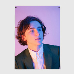 Постер Timothee Chalamet розовый градиент