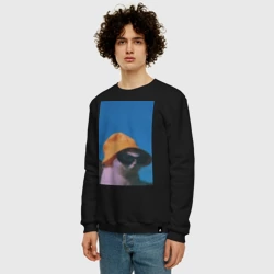 Мужской свитшот хлопок Котик в панаме и очках - фото 2