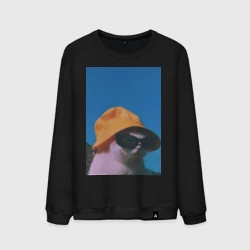Мужской свитшот хлопок Котик в панаме и очках