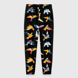 Мужские брюки 3D Парящие акварельные птицы