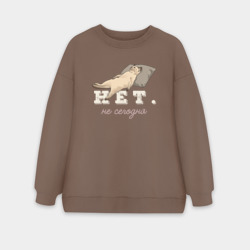 Женский свитшот oversize без начеса хлопок Котик: нет, не сегодня