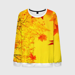 Мужской свитшот 3D Осенние цвета золотая осень
