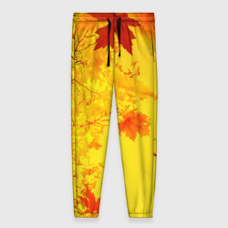 Женские брюки 3D Осенние цвета золотая осень