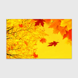 Бумага для упаковки 3D Осенние цвета золотая осень